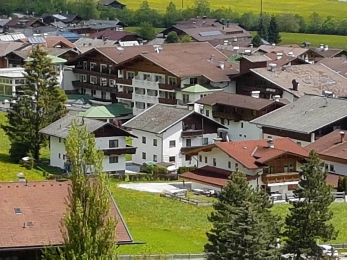 Apartment Dominik *